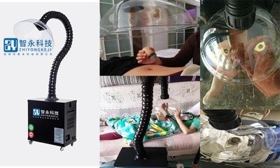 網(wǎng)絡(luò)科技領(lǐng)域內(nèi)的技術(shù)開發(fā) 創(chuàng)新引擎與未來趨勢